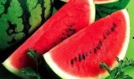 吃瓜微信免费吃最新,如何轻松免费享受吃瓜微信最新福利！”