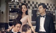 美味奇缘免费在线观看,一场美食与爱情的浪漫邂逅