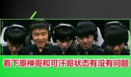 暴躁老哥爆料原神视频,一场视觉与听觉的双重盛宴