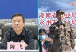 陈飞爆料视频大全最新一期,一期精彩内容大盘点