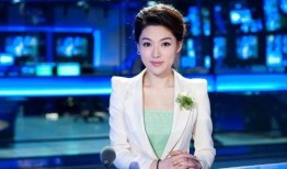 三亚主持人爆料新闻视频,揭秘幕后真相，视频曝光惊人内幕