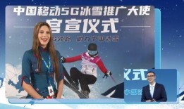 大仙爆料冰雪大使视频,大仙独家爆料视频幕后故事
