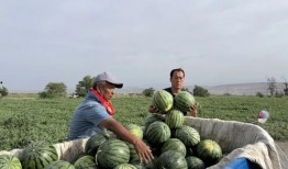 600多万网红吃瓜,揭秘娱乐圈最新瓜料大揭秘！