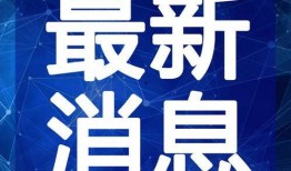 陈小冉爆料新闻视频在线观看,揭秘新闻视频背后的真相
