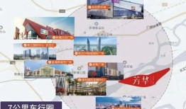 东莞外卖爆料事件视频最新,揭露行业乱象，真相背后引关注