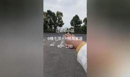 顶象大楼在线观看,揭秘现代科技与未来都市的完美融合