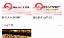 兴宁新闻最新爆料视频下载,视频揭秘事件真相