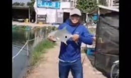 爆料钓鱼被打视频大全,揭秘钓鱼被打事件背后的真相