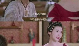 娱乐圈师姐不爆料百度云,揭秘幕后真相，探寻明星真实生活