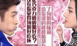 傲娇与偏见电影完整版在线观看,浪漫喜剧中的甜蜜碰撞与成长之旅