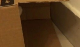 泡沫箱子爆料视频播放下载,播放下载背后的故事