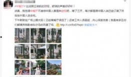 长春搞笑爆料案件视频大全,笑料百出，真相揭秘
