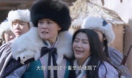 假杨在线观看,揭秘网络迷雾中的虚拟人生