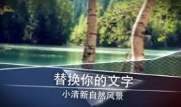 风景最新爆料视频下载安装,视频下载安装全攻略