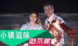 小镇滋味在线观看,在线重温乡愁记忆的温馨之旅
