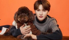 朱正廷娱乐大爆料,独家爆料，真实内幕大公开