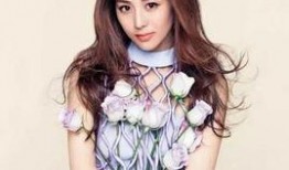 娱乐圈爆料的晋江文女主,逆袭娱乐圈的璀璨星途