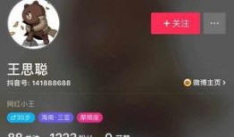 王思聪抖音最新爆料视频,揭秘娱乐圈不为人知的秘密