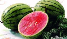 600多万网红吃瓜,揭秘娱乐圈最新瓜料大揭秘！