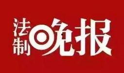 烟台爆料最新新闻头条号,聚焦热点事件，揭秘幕后真相