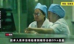 爆料母子失踪视频大全集,揭秘神秘失踪背后的真相