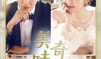 美味奇缘免费在线观看,一场美食与爱情的浪漫邂逅