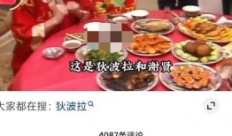 过年网友爆料视频大全下载,过年视频大全下载，精彩瞬间尽收眼底