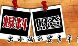 新闻大爆料电话,幕后真相与公众关注焦点