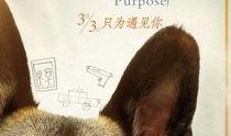一条狗的使命在线观看
