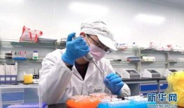 重庆核酸工厂最新爆料,揭秘高效产能背后的秘密