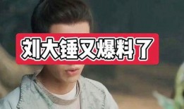 刘大锤最新爆料小绵羊,小绵羊背后的惊人真相