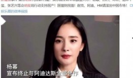 新疆明星爆料新闻视频播放,新疆明星爆料视频引发热议