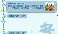 四季最新爆料,揭秘四季风云变幻，探寻四季背后的秘密