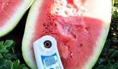 最新的瓜爆料的网红,揭秘瓜王背后的惊人真相！