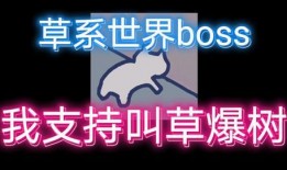 草神最早爆料是谁啊视频,揭秘幕后爆料者身份