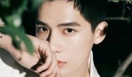 王安宇爆料者视频合集,揭秘事件背后真相