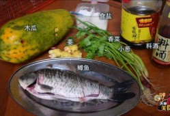 娱乐吃瓜鱼,揭秘娱乐圈那些不为人知的幕后故事