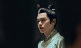 张若昀爆料爱尔兰视频,一场浪漫与自然的邂逅