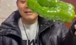 吃瓜陈建鹏网红视频,揭秘网红背后的故事与争议