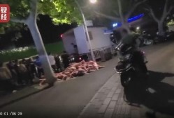沧州爆料青县事件视频播放,沧州爆料真相揭晓