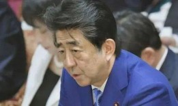 安倍晋三最新爆料,独家爆料背后的政治风云