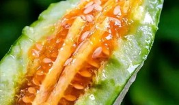 最新的瓜爆料的网红,揭秘瓜王背后的惊人真相！