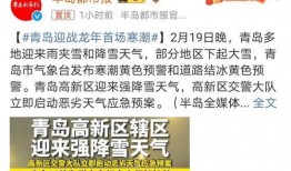 海鸥官方爆料视频,全新科技与设计亮点抢先看
