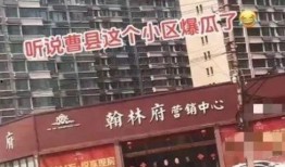 翰林府吃瓜免费观看,免费观看，畅享视听盛宴