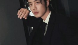 刘大锤爆料成毅原视频,成毅原视频背后的故事