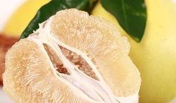 爆料鲜甜柚子的做法视频,跟随视频轻松学会柚子新吃法