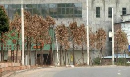 河源今日一线爆料,揭秘背后惊人真相