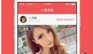小胖女主爆料视频播放下载,播放下载背后的故事揭秘