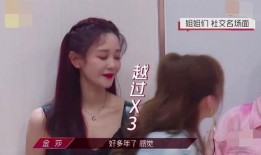 海陆爆料姐姐视频,揭秘娱乐圈幕后故事