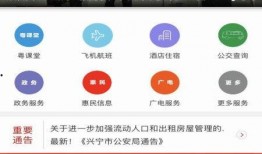 兴宁新闻最新爆料视频下载,视频揭秘事件真相